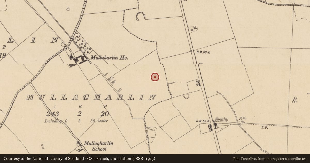 Ordnance Survey six-inch map, 2nd edition (1888–1915) covering the location of Burnt mound, Mullagharlin, County Louth, with a pin at the register's coordinates