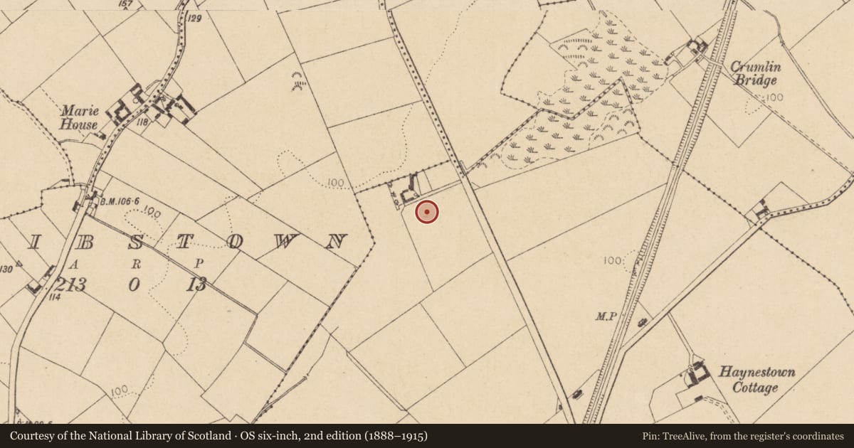 Ordnance Survey six-inch map, 2nd edition (1888–1915) covering the location of Souterrain, Haynestown, County Louth, with a pin at the register's coordinates