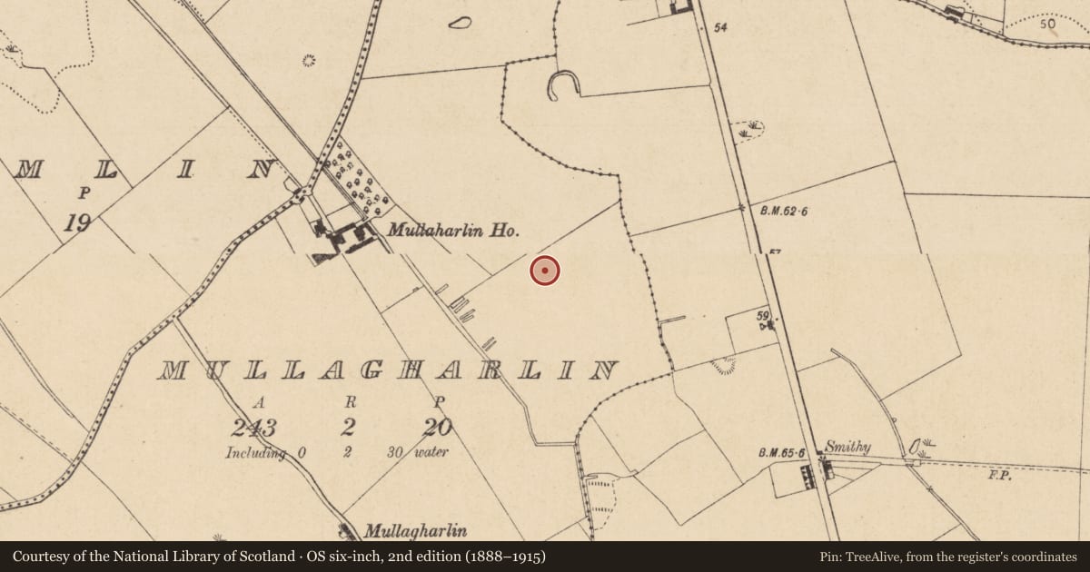 Ordnance Survey six-inch map, 2nd edition (1888–1915) covering the location of Excavation - miscellaneous, Mullagharlin, County Louth, with a pin at the register's coordinates