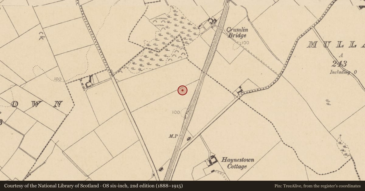 Ordnance Survey six-inch map, 2nd edition (1888–1915) covering the location of Barrow - ring-barrow, Haynestown, County Louth, with a pin at the register's coordinates