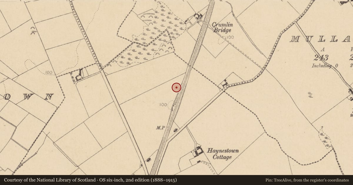 Ordnance Survey six-inch map, 2nd edition (1888–1915) covering the location of Kiln - corn-drying, Haynestown, County Louth, with a pin at the register's coordinates
