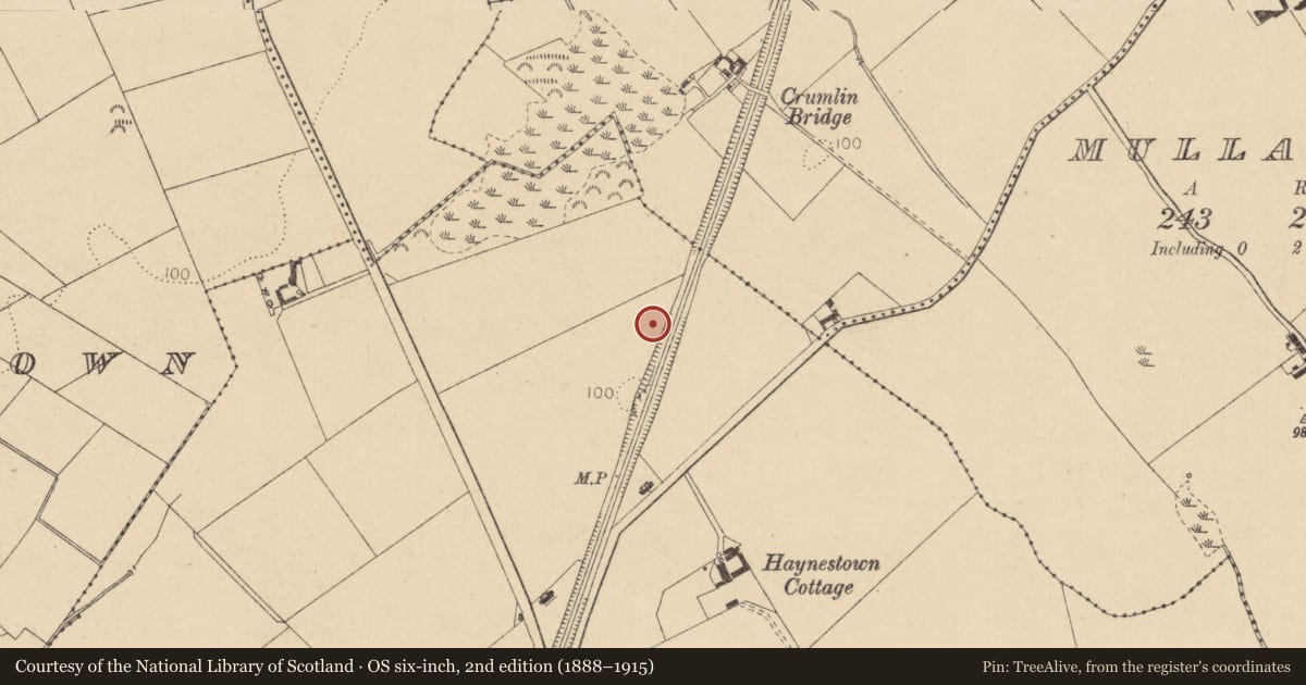Ordnance Survey six-inch map, 2nd edition (1888–1915) covering the location of Excavation - miscellaneous, Haynestown, County Louth, with a pin at the register's coordinates