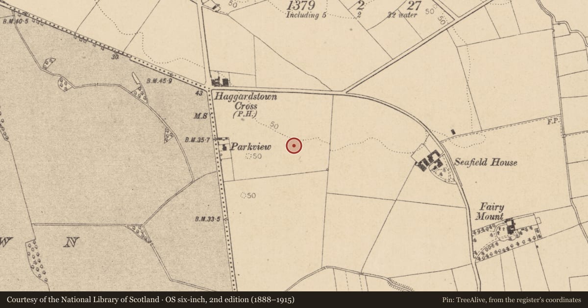 Ordnance Survey six-inch map, 2nd edition (1888–1915) covering the location of Souterrain, Haggardstown, County Louth, with a pin at the register's coordinates