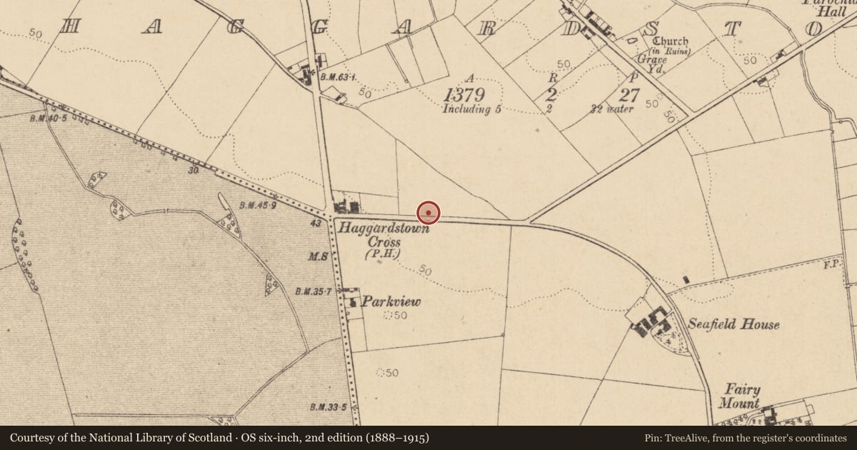 Ordnance Survey six-inch map, 2nd edition (1888–1915) covering the location of Souterrain, Haggardstown, County Louth, with a pin at the register's coordinates
