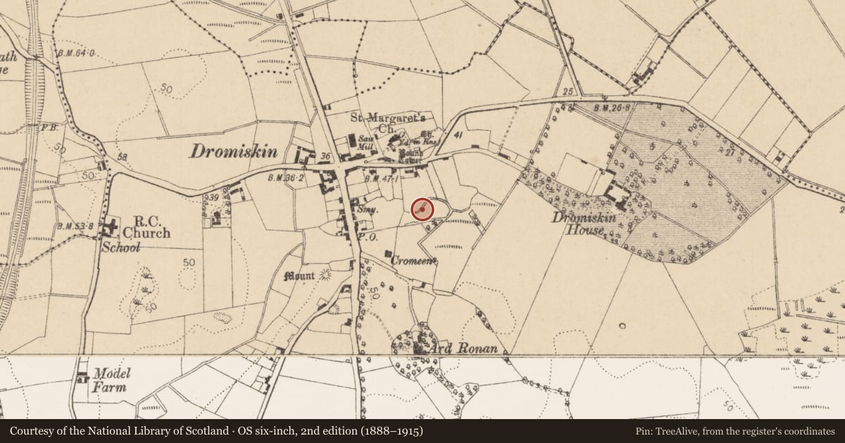 Ordnance Survey six-inch map, 2nd edition (1888–1915) covering the location of Road - unclassified togher, Dromiskin, County Louth, with a pin at the register's coordinates