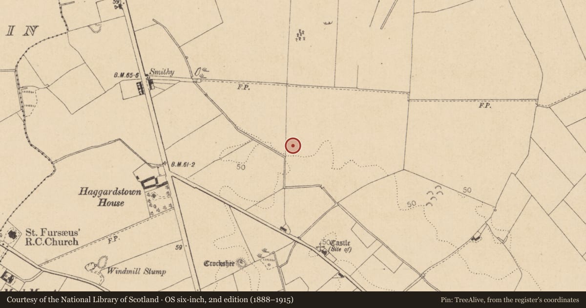 Ordnance Survey six-inch map, 2nd edition (1888–1915) covering the location of Excavation - miscellaneous, Haggardstown, County Louth, with a pin at the register's coordinates