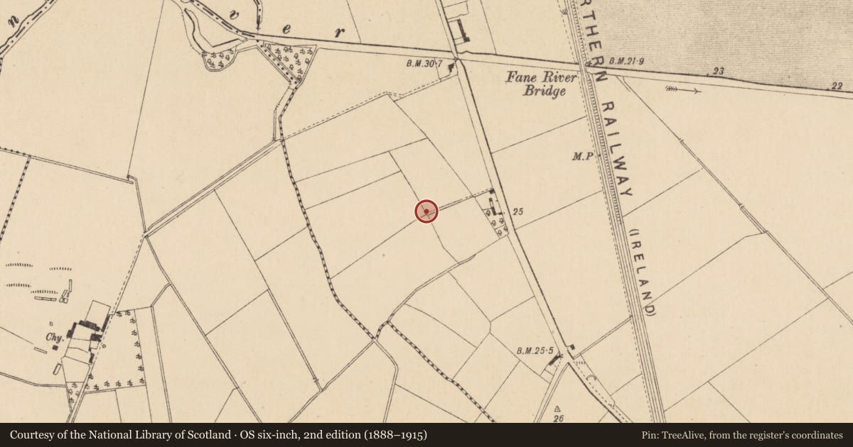 Ordnance Survey six-inch map, 2nd edition (1888–1915) covering the location of Field system, Commons (Dromiskin Par.), County Louth, with a pin at the register's coordinates