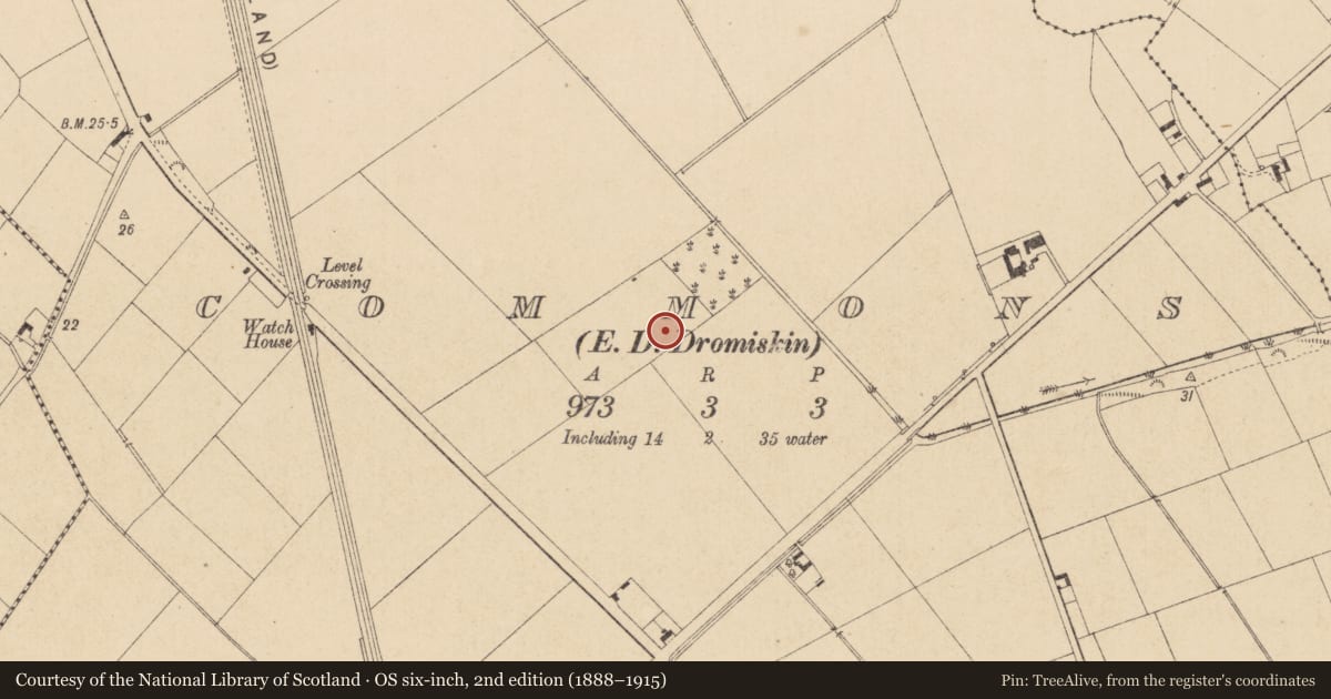 Ordnance Survey six-inch map, 2nd edition (1888–1915) covering the location of Field system, Commons (Dromiskin Par.), County Louth, with a pin at the register's coordinates