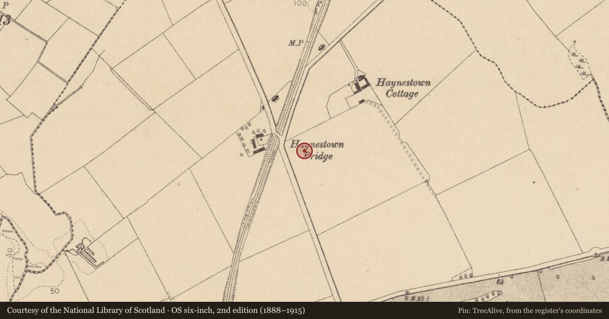 Ordnance Survey six-inch map, 2nd edition (1888–1915) covering the location of Ring-ditch, Haynestown, County Louth, with a pin at the register's coordinates