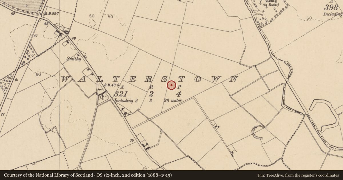 Ordnance Survey six-inch map, 2nd edition (1888–1915) covering the location of Enclosure, Walterstown, County Louth, with a pin at the register's coordinates
