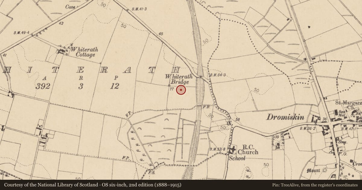 Ordnance Survey six-inch map, 2nd edition (1888–1915) covering the location of Enclosure, Whiterath, County Louth, with a pin at the register's coordinates
