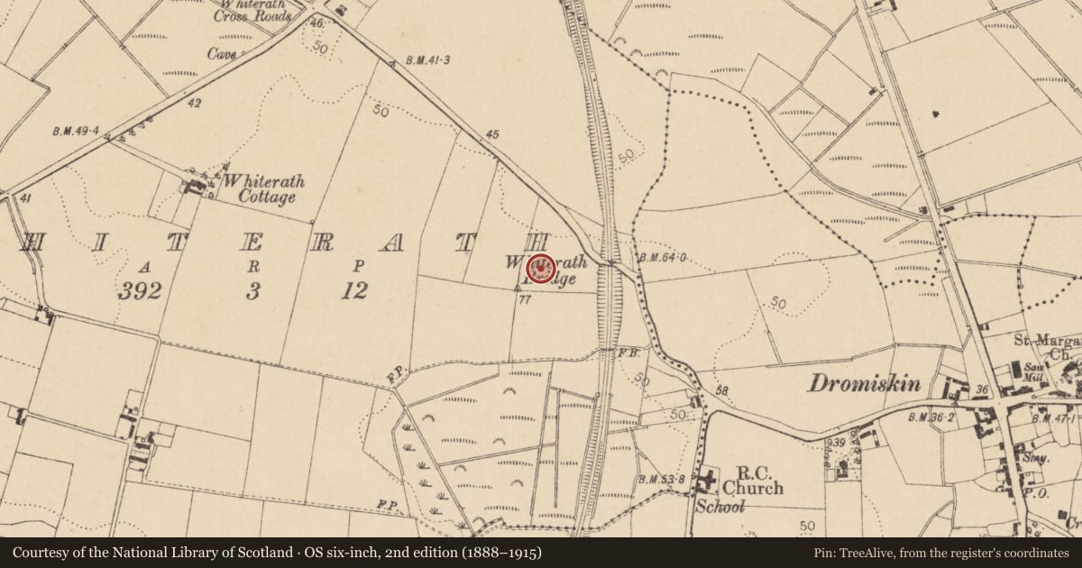 Ordnance Survey six-inch map, 2nd edition (1888–1915) covering the location of Enclosure, Whiterath, County Louth, with a pin at the register's coordinates