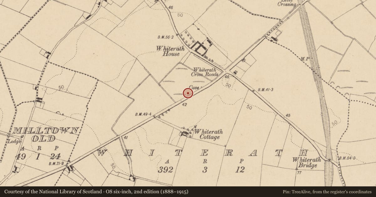 Ordnance Survey six-inch map, 2nd edition (1888–1915) covering the location of Enclosure, Whiterath, County Louth, with a pin at the register's coordinates