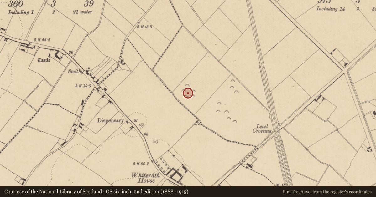 Ordnance Survey six-inch map, 2nd edition (1888–1915) covering the location of Field system, Commons (Dromiskin Par.), County Louth, with a pin at the register's coordinates