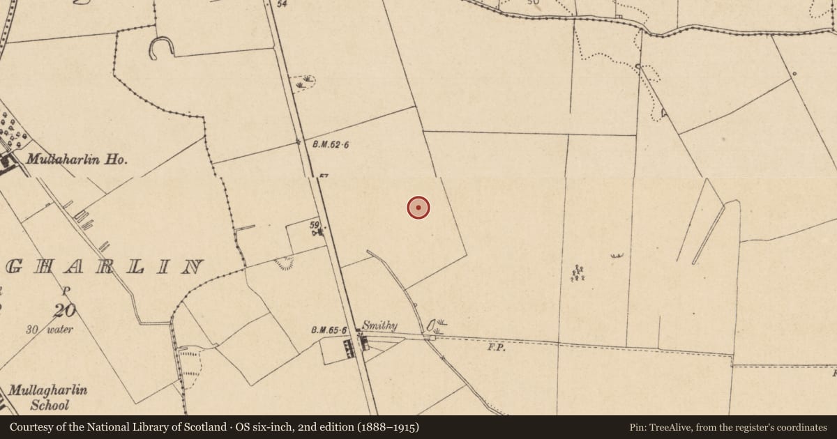 Ordnance Survey six-inch map, 2nd edition (1888–1915) covering the location of Enclosure, Haggardstown, County Louth, with a pin at the register's coordinates