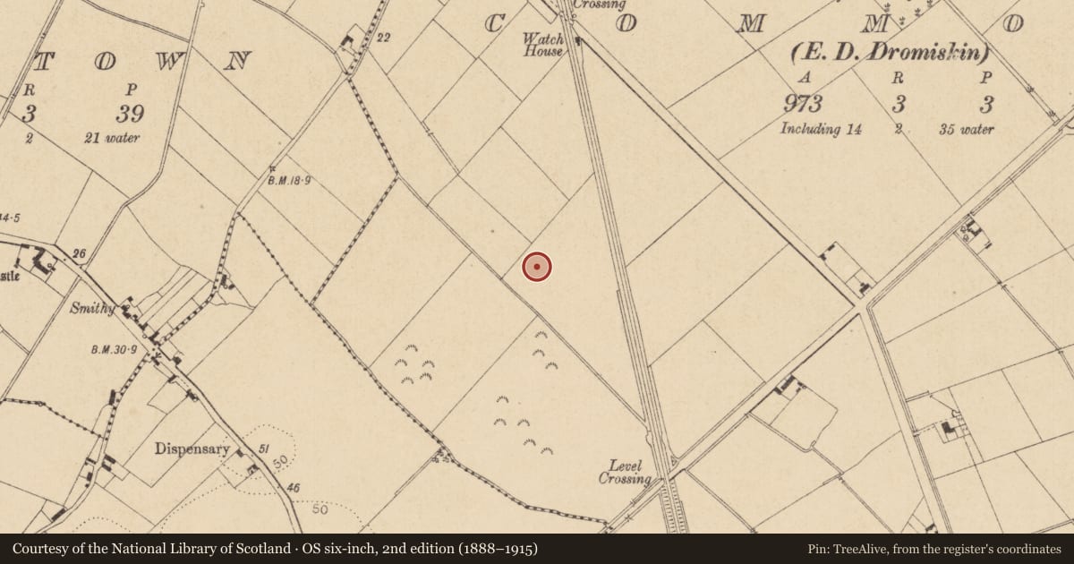 Ordnance Survey six-inch map, 2nd edition (1888–1915) covering the location of Field system, Commons (Dromiskin Par.), County Louth, with a pin at the register's coordinates