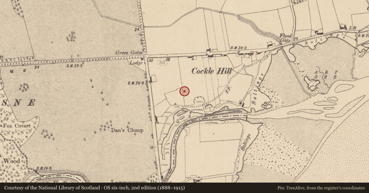Ordnance Survey six-inch map, 2nd edition (1888–1915) covering the location of Souterrain, Haggardstown, County Louth, with a pin at the register's coordinates