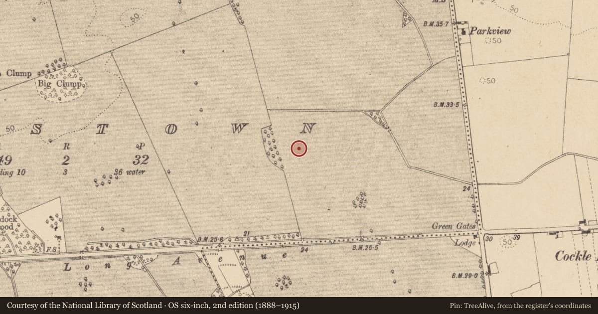 Ordnance Survey six-inch map, 2nd edition (1888–1915) covering the location of Ringfort - rath, Haynestown, County Louth, with a pin at the register's coordinates