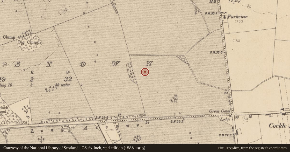 Ordnance Survey six-inch map, 2nd edition (1888–1915) covering the location of Souterrain, Haynestown, County Louth, with a pin at the register's coordinates