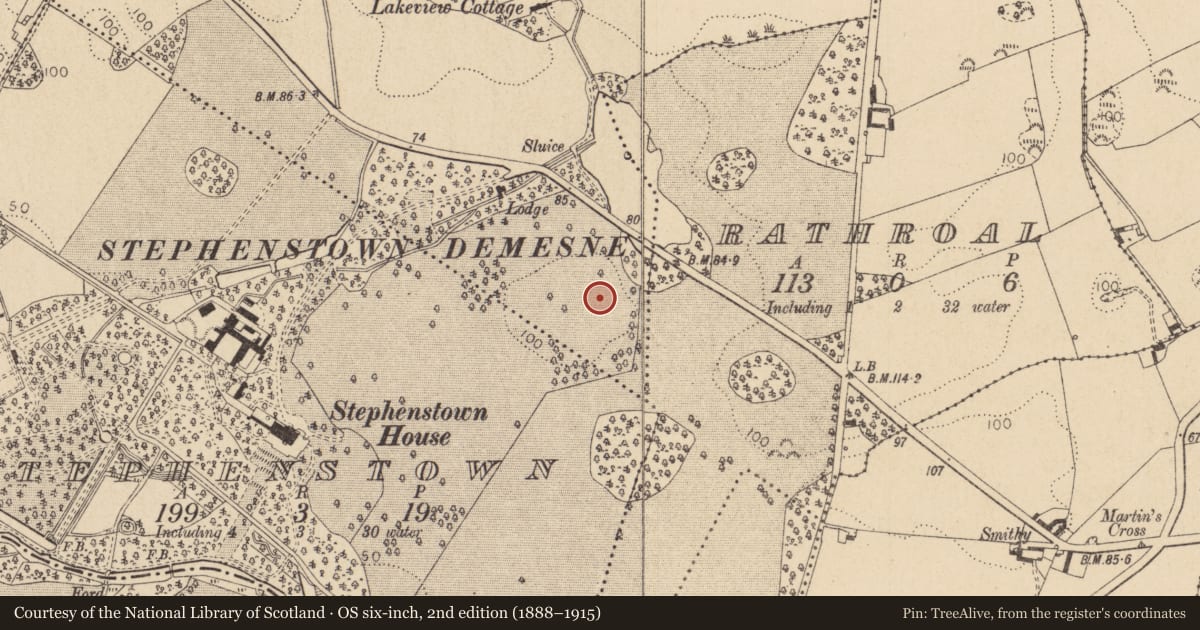 Ordnance Survey six-inch map, 2nd edition (1888–1915) covering the location of Enclosure, Stephenstown, County Louth, with a pin at the register's coordinates