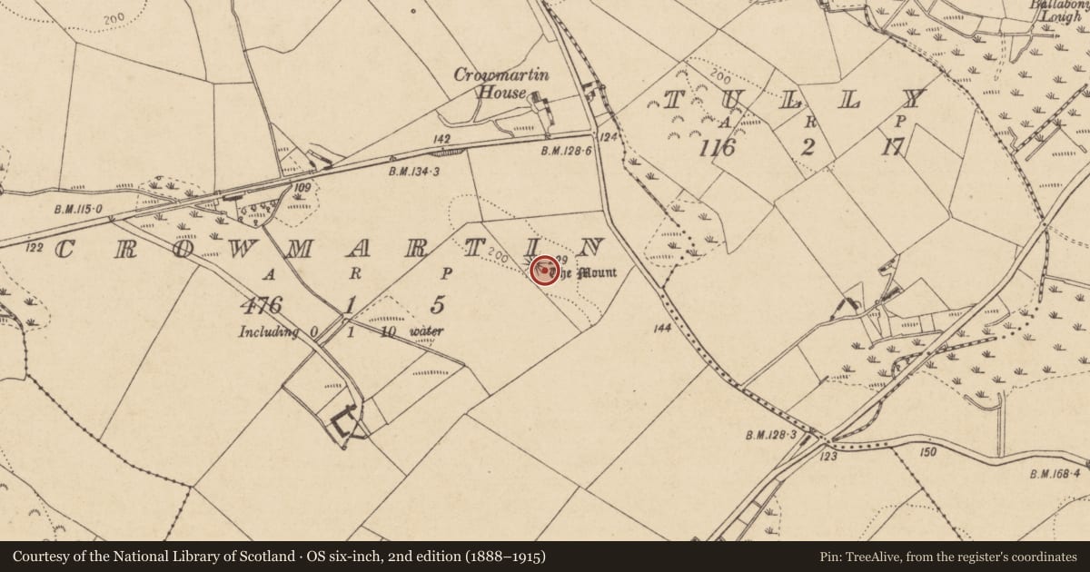 Ordnance Survey six-inch map, 2nd edition (1888–1915) covering the location of Castle - motte and bailey, Crowmartin, County Louth, with a pin at the register's coordinates