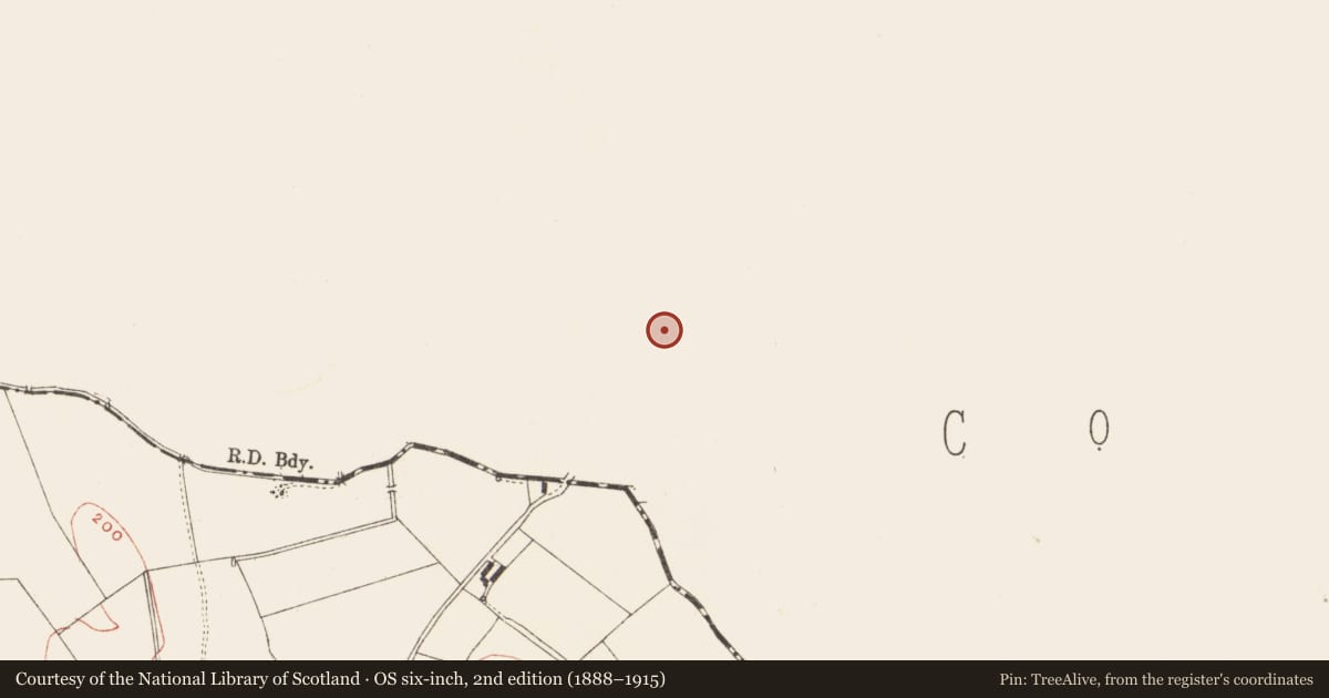 Ordnance Survey six-inch map, 2nd edition (1888–1915) covering the location of Ringfort - rath, Crowmartin, County Louth, with a pin at the register's coordinates