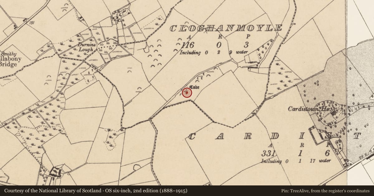 Ordnance Survey six-inch map, 2nd edition (1888–1915) covering the location of Souterrain, Cloghanmoyle, County Louth, with a pin at the register's coordinates