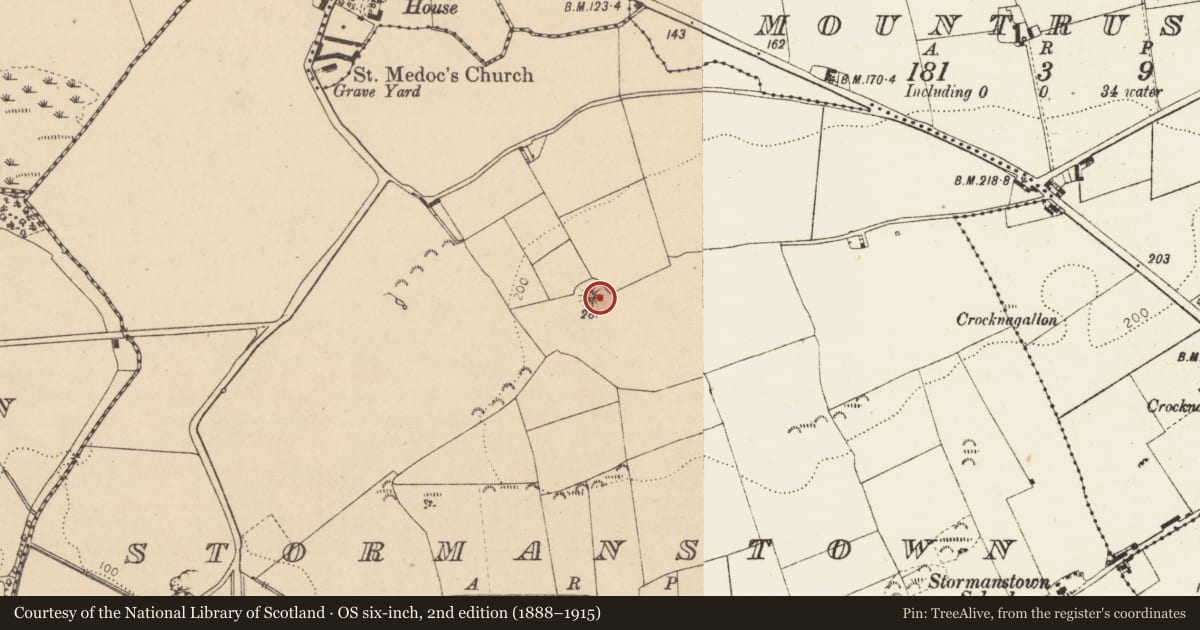 Ordnance Survey six-inch map, 2nd edition (1888–1915) covering the location of Castle - motte and bailey, Stormanstown, County Louth, with a pin at the register's coordinates