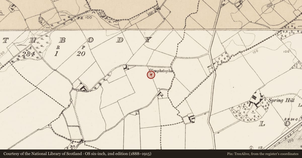 Ordnance Survey six-inch map, 2nd edition (1888–1915) covering the location of Standing stone, Rathbody, County Louth, with a pin at the register's coordinates
