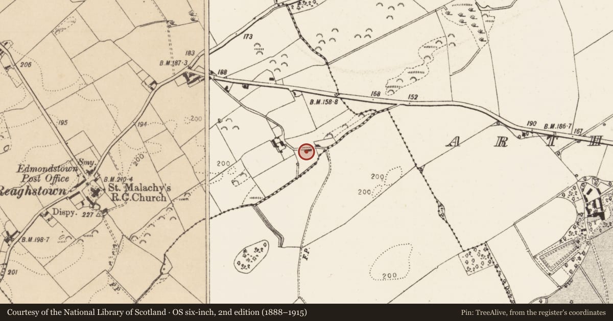 Ordnance Survey six-inch map, 2nd edition (1888–1915) covering the location of Souterrain, Reaghstown, County Louth, with a pin at the register's coordinates