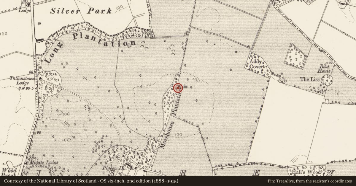 Ordnance Survey six-inch map, 2nd edition (1888–1915) covering the location of Souterrain, Lisrenny (Ardee by, County Louth, with a pin at the register's coordinates