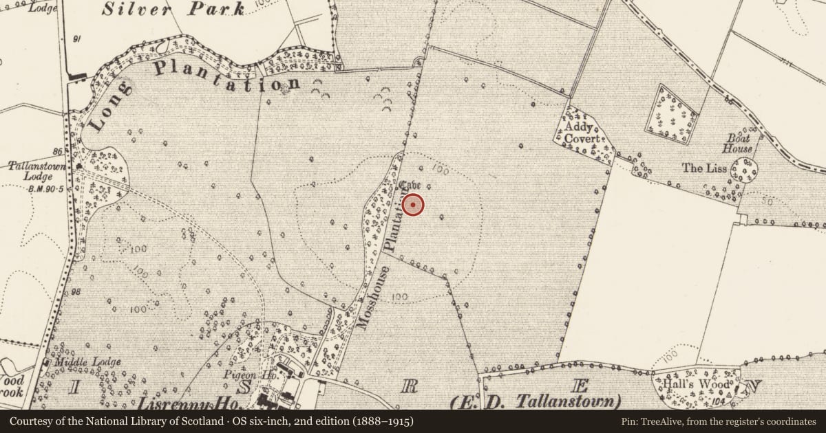 Ordnance Survey six-inch map, 2nd edition (1888–1915) covering the location of Enclosure - large enclosure, Lisrenny (Ardee by, County Louth, with a pin at the register's coordinates