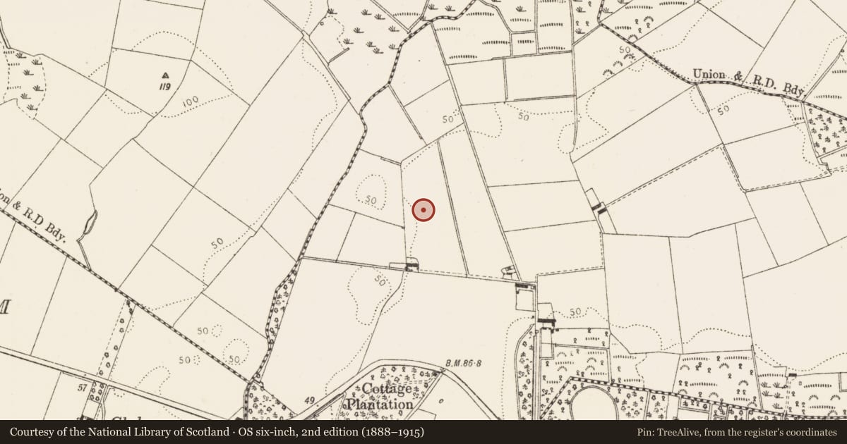 Ordnance Survey six-inch map, 2nd edition (1888–1915) covering the location of Castle - unclassified, Corbollis, County Louth, with a pin at the register's coordinates