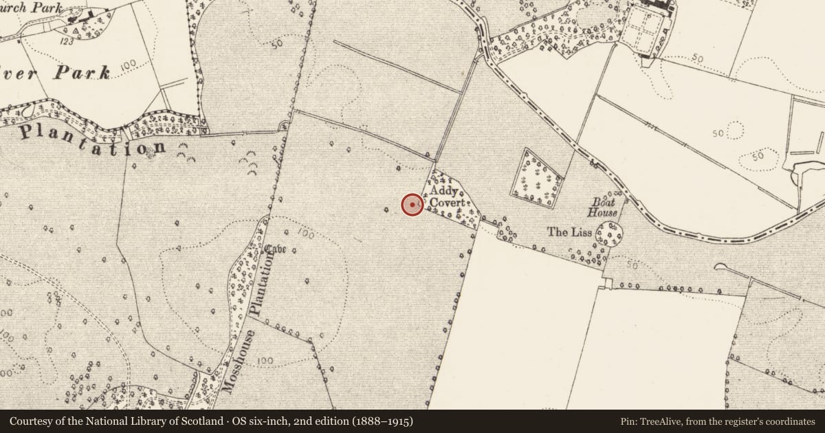 Ordnance Survey six-inch map, 2nd edition (1888–1915) covering the location of Souterrain, Lisrenny (Ardee by, County Louth, with a pin at the register's coordinates