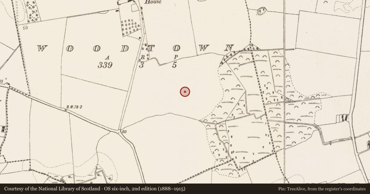 Ordnance Survey six-inch map, 2nd edition (1888–1915) covering the location of Enclosure, Woodtown, County Louth, with a pin at the register's coordinates