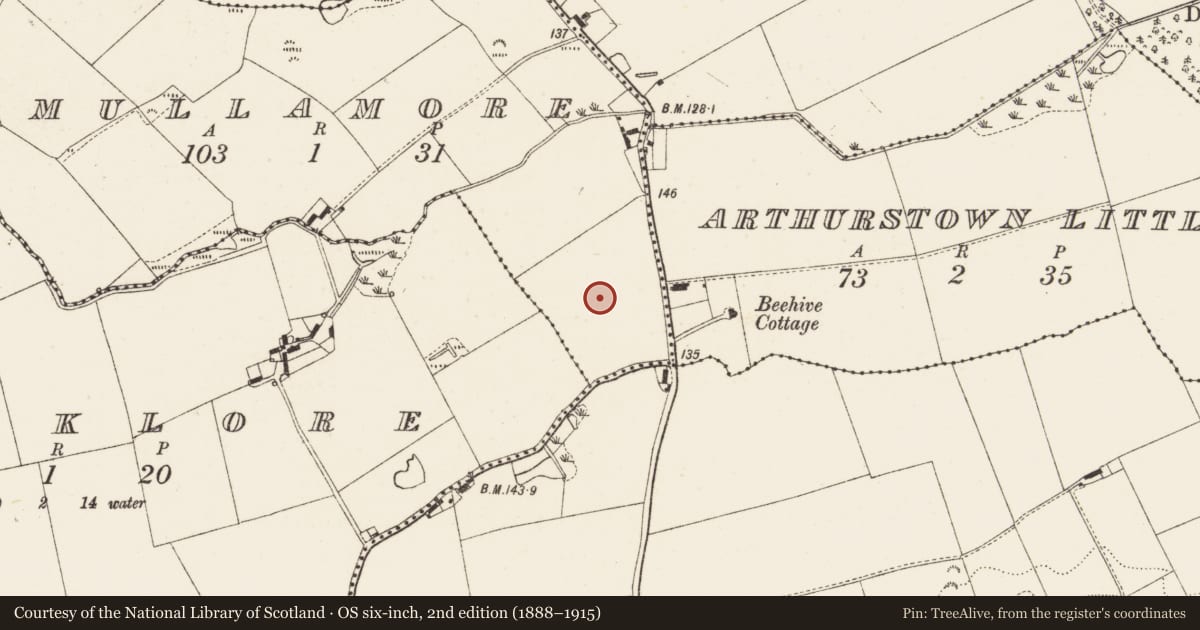 Ordnance Survey six-inch map, 2nd edition (1888–1915) covering the location of Slab-lined burial, Mullamore, County Louth, with a pin at the register's coordinates