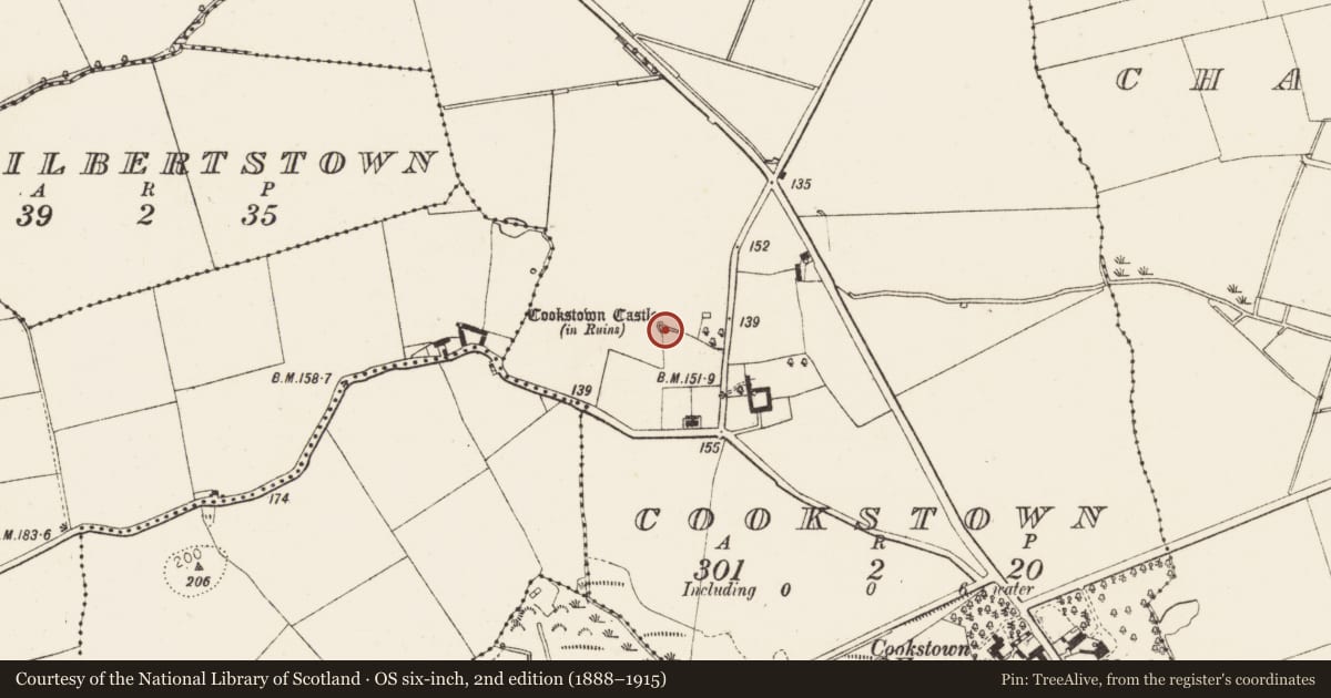 Ordnance Survey six-inch map, 2nd edition (1888–1915) covering the location of Castle - unclassified, Cookstown, County Louth, with a pin at the register's coordinates