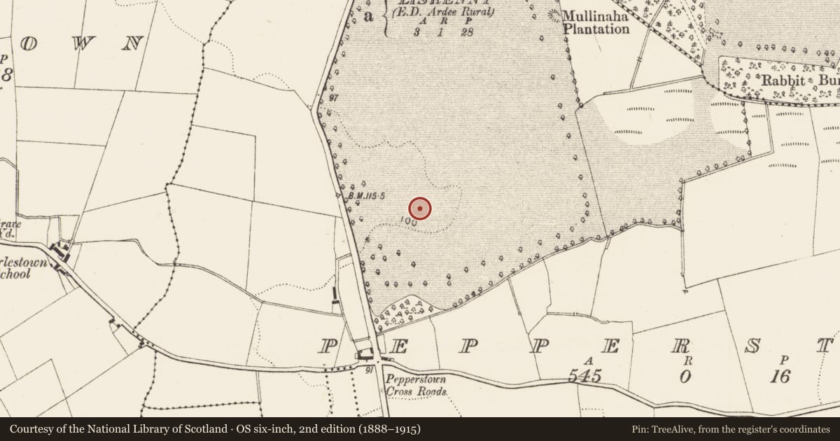 Ordnance Survey six-inch map, 2nd edition (1888–1915) covering the location of Souterrain, Pepperstown, County Louth, with a pin at the register's coordinates