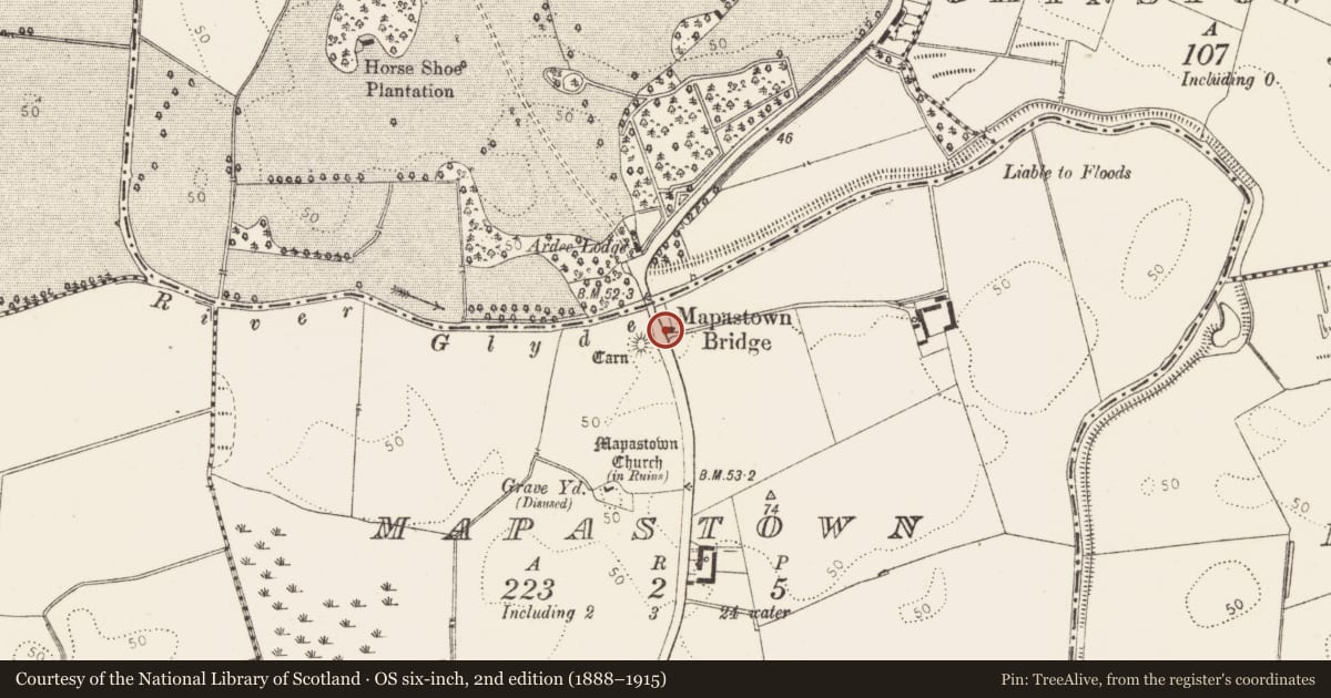 Ordnance Survey six-inch map, 2nd edition (1888–1915) covering the location of Souterrain, Mapastown, County Louth, with a pin at the register's coordinates