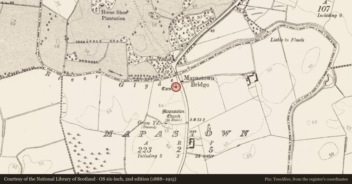 Ordnance Survey six-inch map, 2nd edition (1888–1915) covering the location of Castle - motte and bailey, Mapastown, County Louth, with a pin at the register's coordinates