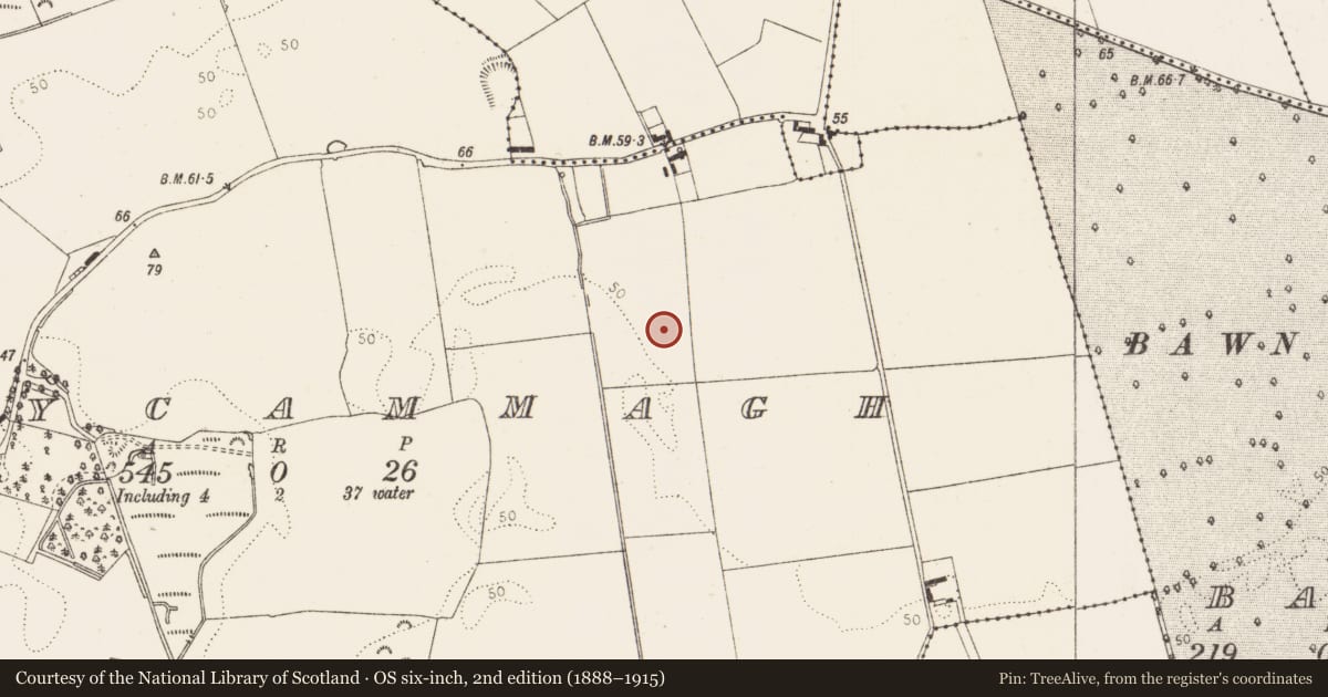 Ordnance Survey six-inch map, 2nd edition (1888–1915) covering the location of Field system, Derrycammagh, County Louth, with a pin at the register's coordinates