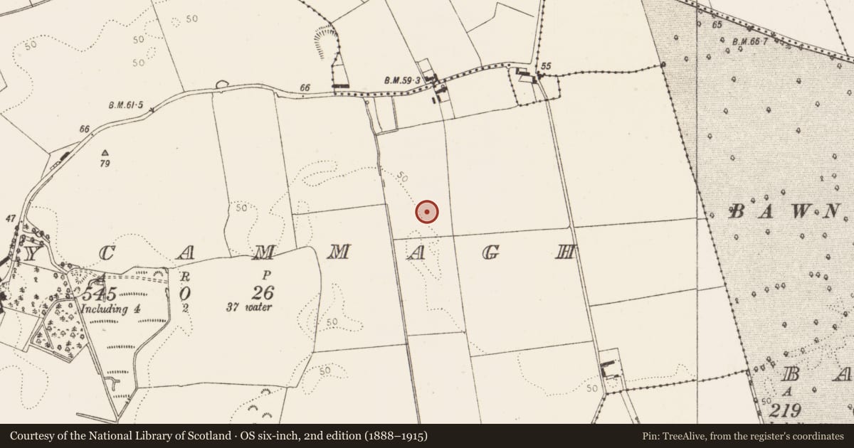 Ordnance Survey six-inch map, 2nd edition (1888–1915) covering the location of Enclosure, Derrycammagh, County Louth, with a pin at the register's coordinates