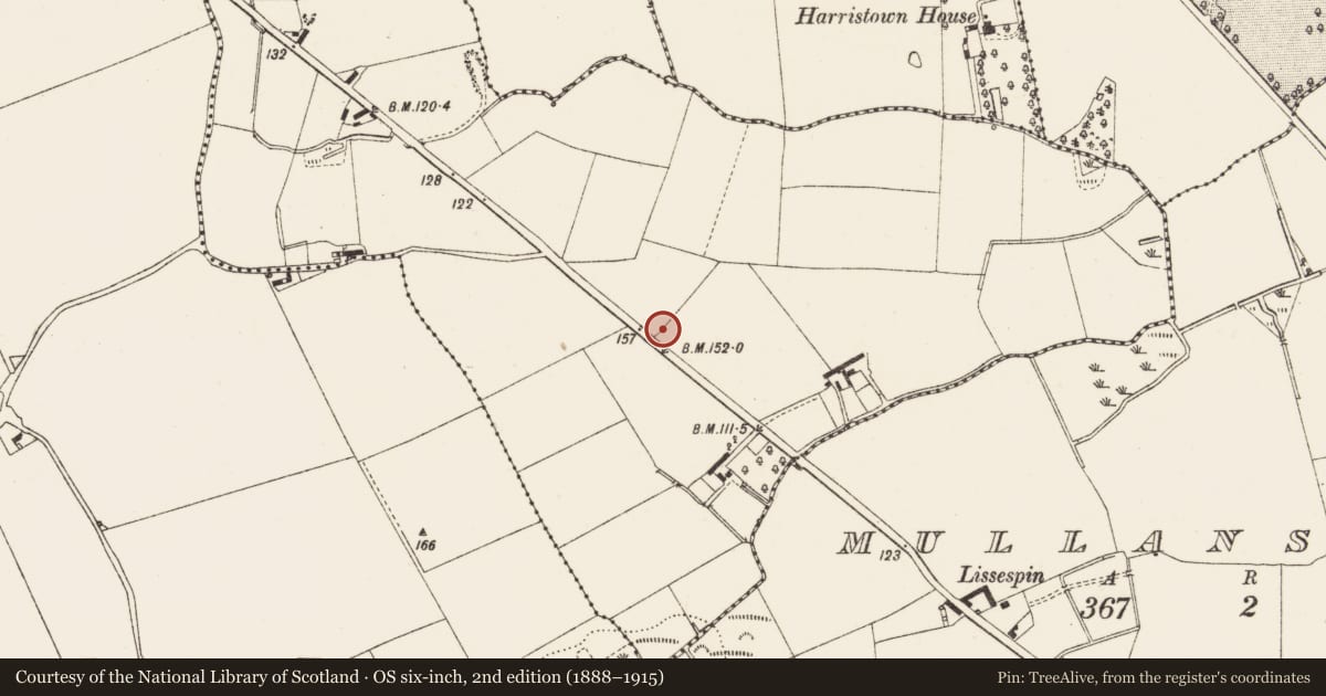 Ordnance Survey six-inch map, 2nd edition (1888–1915) covering the location of Church, Artnalevery, County Louth, with a pin at the register's coordinates