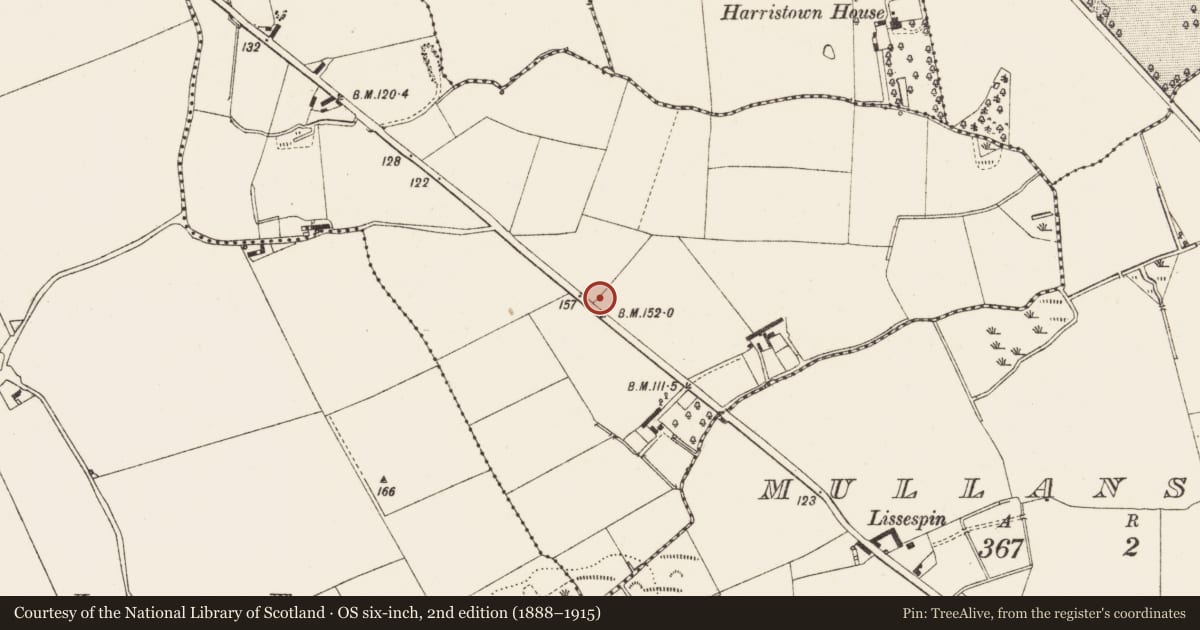 Ordnance Survey six-inch map, 2nd edition (1888–1915) covering the location of Graveyard, Artnalevery, County Louth, with a pin at the register's coordinates