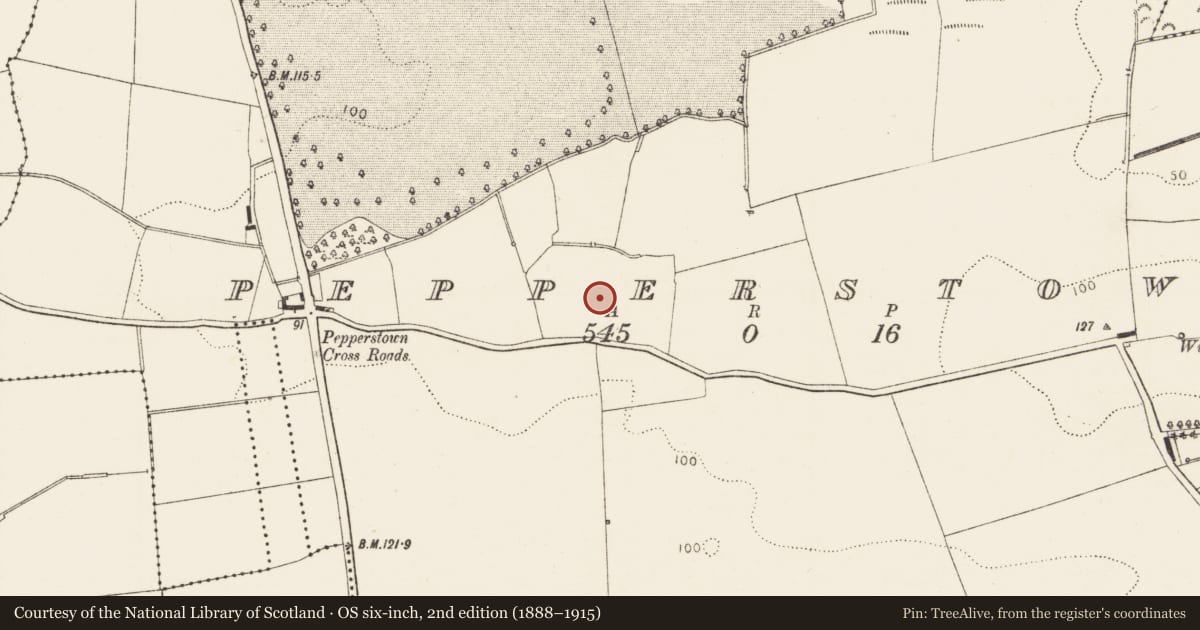 Ordnance Survey six-inch map, 2nd edition (1888–1915) covering the location of Enclosure, Pepperstown, County Louth, with a pin at the register's coordinates
