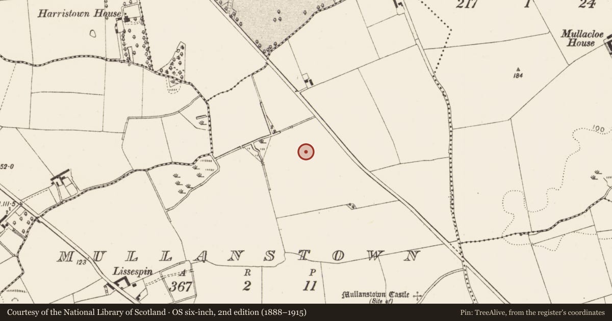Ordnance Survey six-inch map, 2nd edition (1888–1915) covering the location of Enclosure, Mullanstown, County Louth, with a pin at the register's coordinates