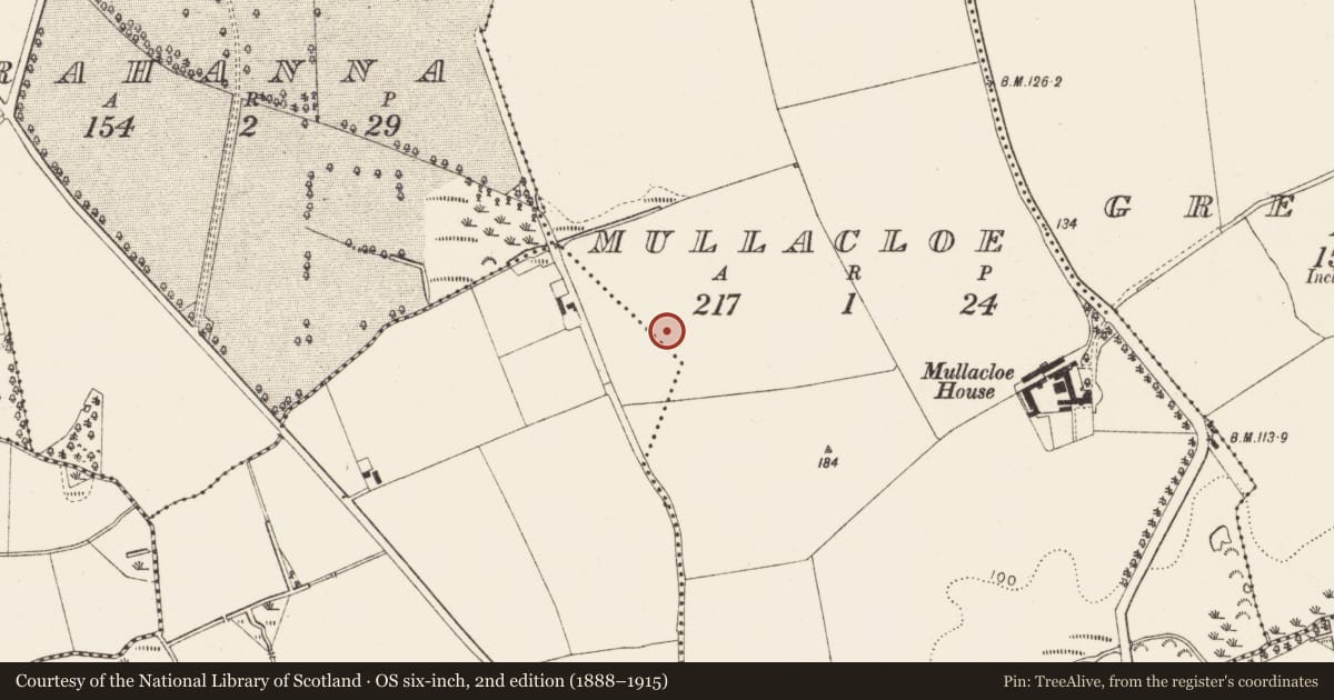 Ordnance Survey six-inch map, 2nd edition (1888–1915) covering the location of Ring-ditch, Mullacloe, County Louth, with a pin at the register's coordinates