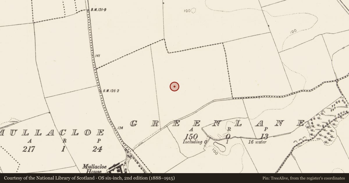 Ordnance Survey six-inch map, 2nd edition (1888–1915) covering the location of Enclosure, Greenlane, County Louth, with a pin at the register's coordinates