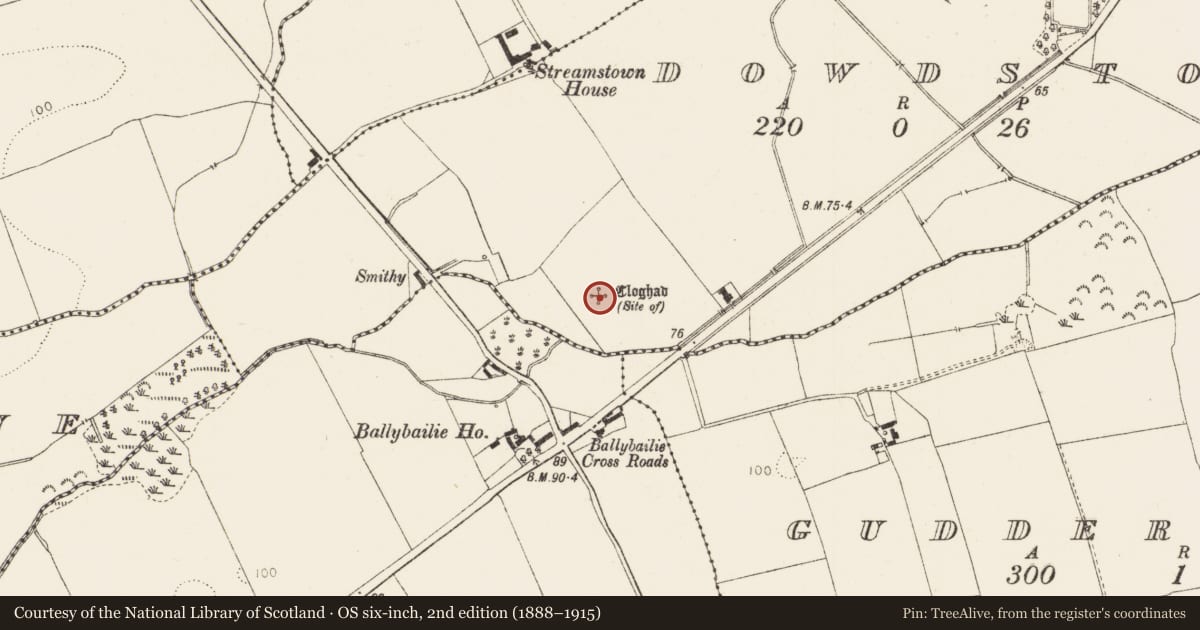 Ordnance Survey six-inch map, 2nd edition (1888–1915) covering the location of Standing stone, Dowdstown, County Louth, with a pin at the register's coordinates
