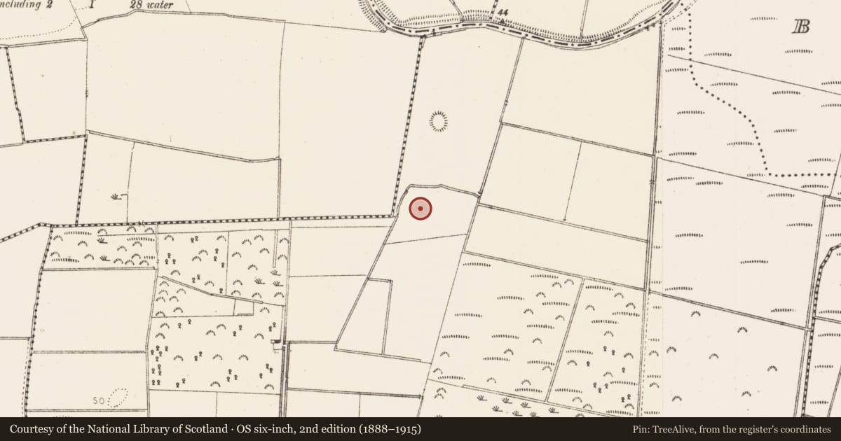 Ordnance Survey six-inch map, 2nd edition (1888–1915) covering the location of Earthwork, Drumcashel, County Louth, with a pin at the register's coordinates